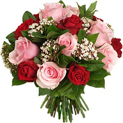 Rosas para Regalar (12)