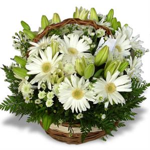 Canasta de Lilium y Gerberas