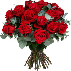 Bouquet de 15 Rosas