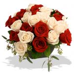 Rosas Bicolor (24) 
