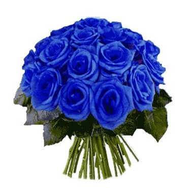Bouquet en 20 Rosas Azules