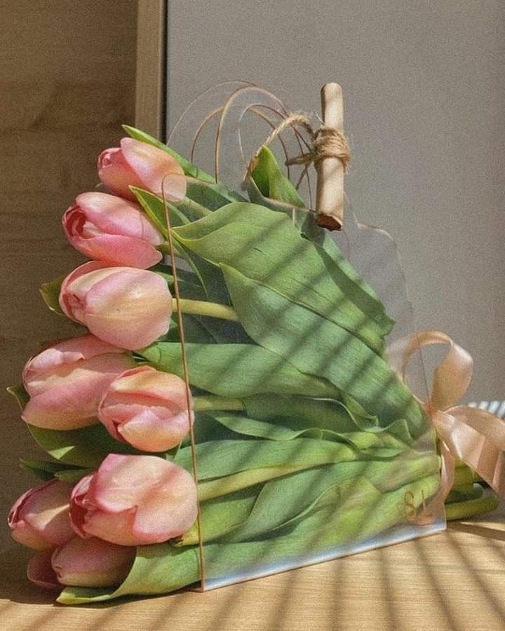 Cartera 10 Tulipanes Graduacin